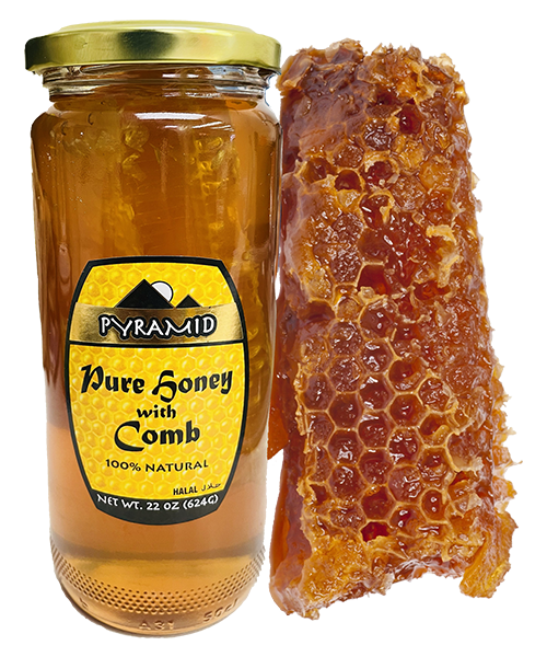 Pyramid Pure Honey 22oz